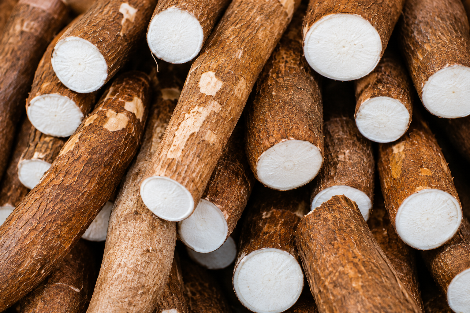 Cassava